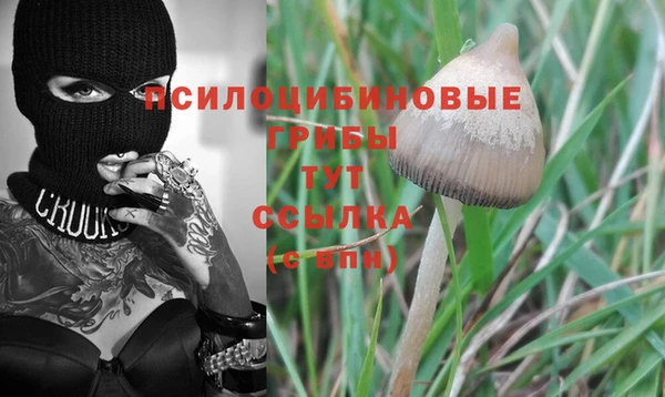 ешки Алексеевка