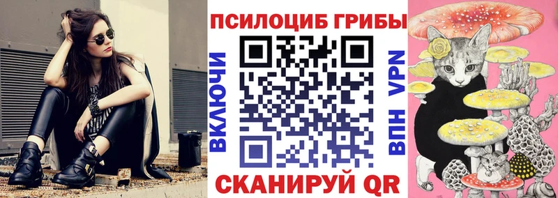 мега зеркало Белореченск Псилоцибиновые грибы мицелий