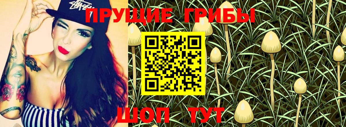 Галлюциногенные грибы GOLDEN TEACHER Белореченск